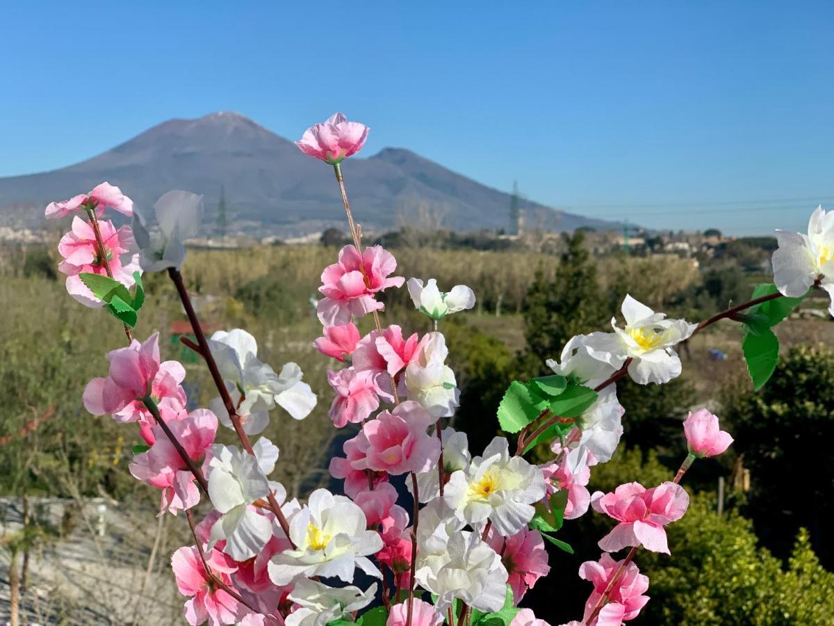 Villa Valentino Pompeji ภายนอก รูปภาพ