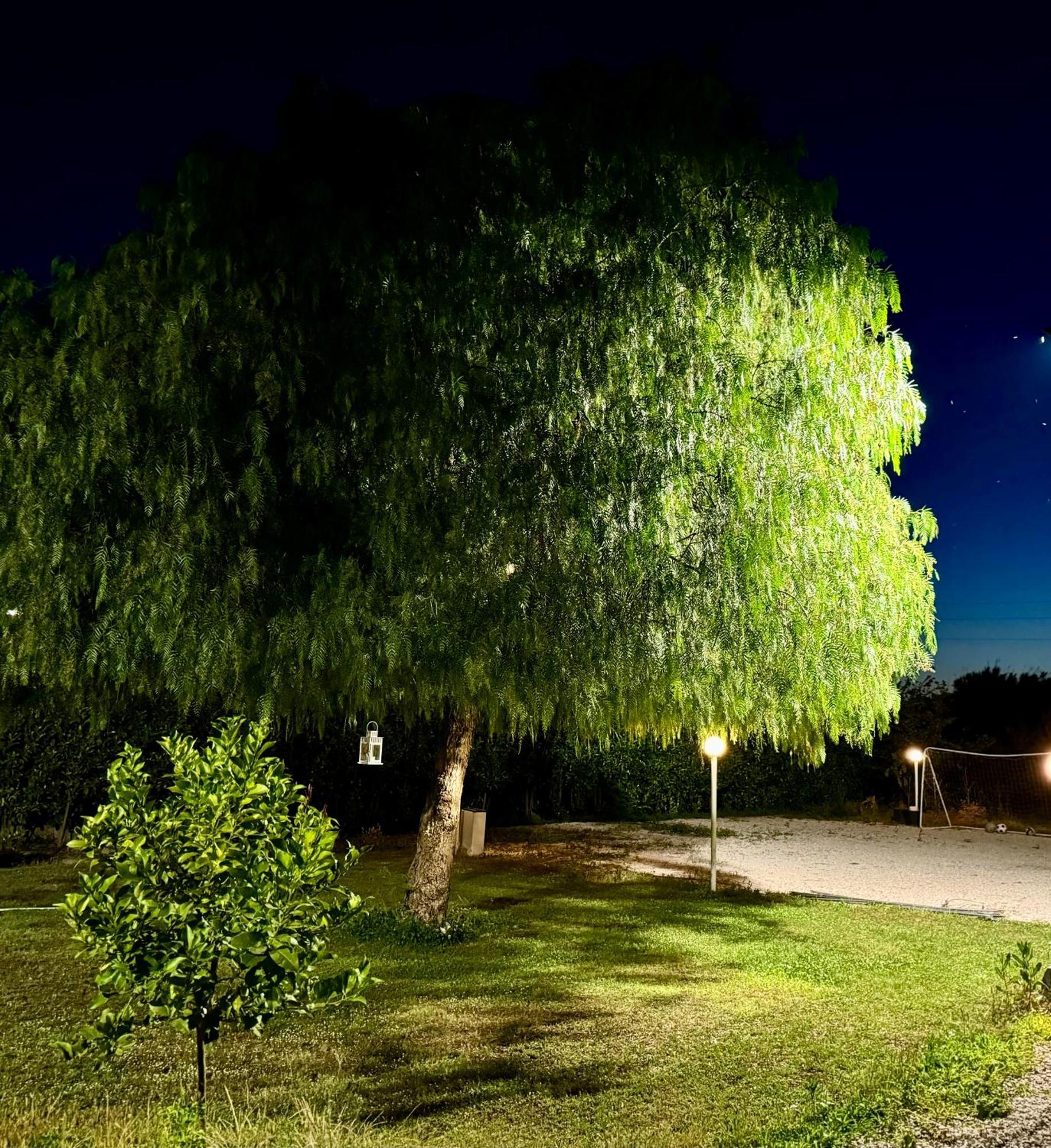 Villa Valentino Pompeji ภายนอก รูปภาพ